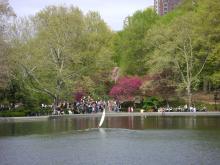 Central Park 