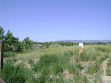 Nearby Natural Area - Riverbend Ponds