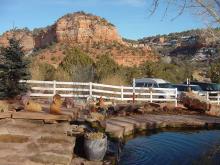 peaceful pond at visitor center