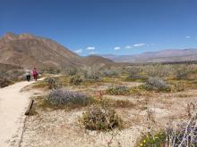 More views of trail at Visitor center