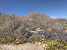 View from visitors center